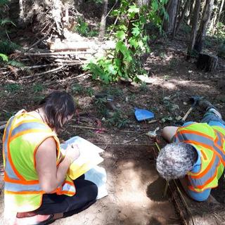 Field school